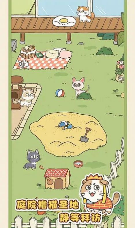 找下貓最新版截圖2