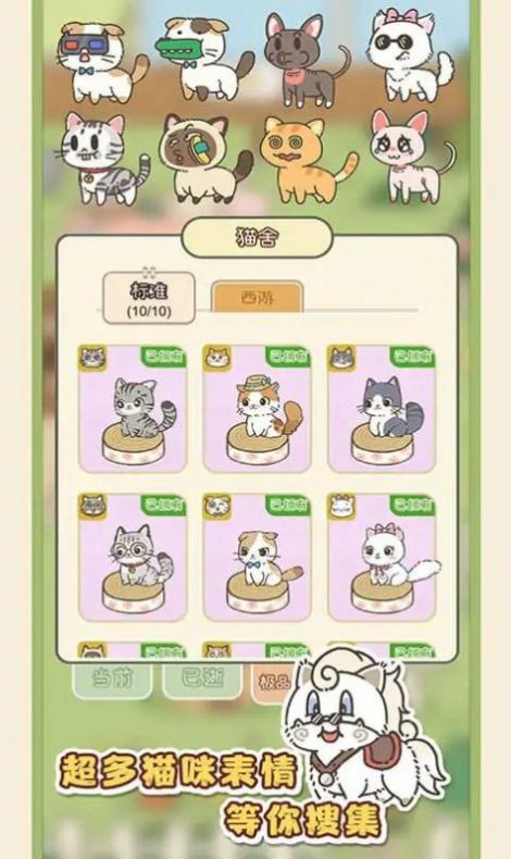找下貓最新版截圖4