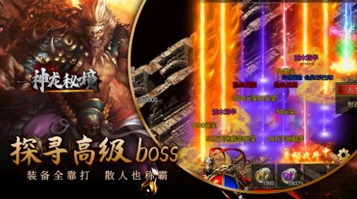 神龍秘境傳奇手游安卓版截圖1