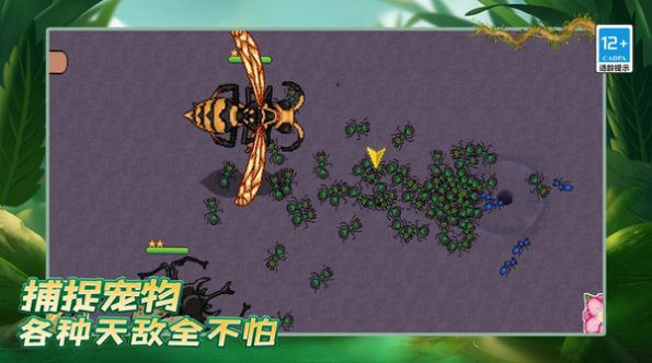 螞蟻之王復仇版游戲版截圖1
