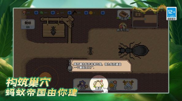 螞蟻之王復仇版游戲版截圖4
