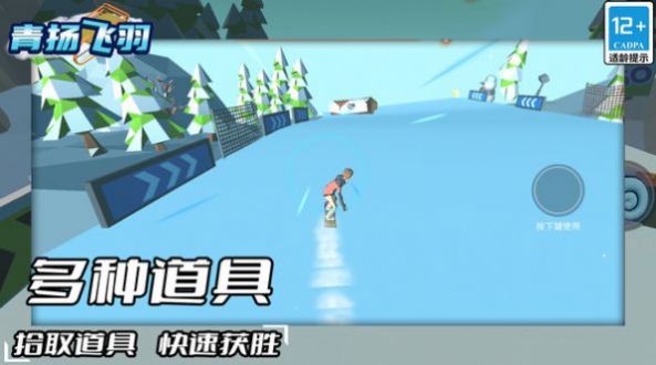 青揚飛羽下載安裝截圖2