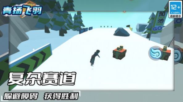 青揚飛羽下載安裝截圖5