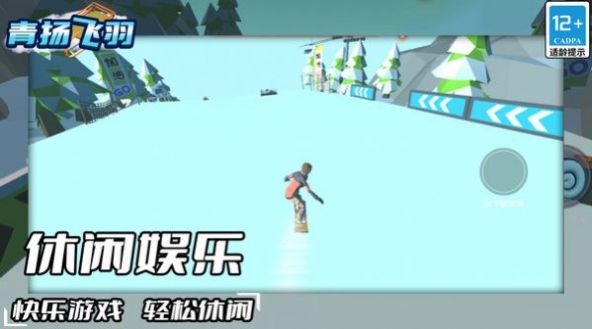 青揚飛羽下載安裝截圖8
