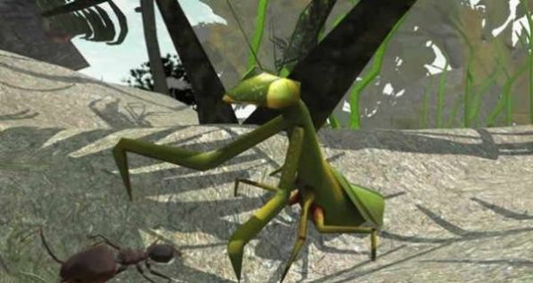 3d螞蟻模擬器下載大全最新版截圖1