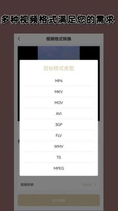 視頻格式轉(zhuǎn)換大師APP下載截圖3