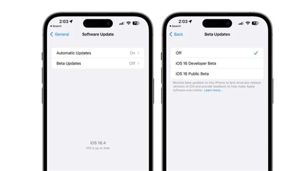 iOS16.4beta4開發(fā)者預覽版描述文件版（內(nèi)部版本號：20E5239b）截圖3