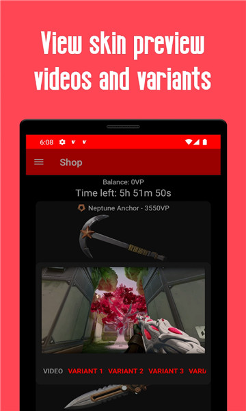 ValorantStoreViewer游戲助手軟件最新版截圖3