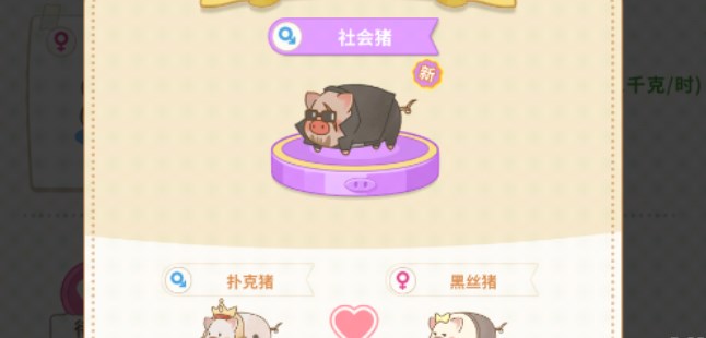 陽光養(yǎng)豬場怎么獲得高品質(zhì)豬 獲取高品質(zhì)豬配種攻略