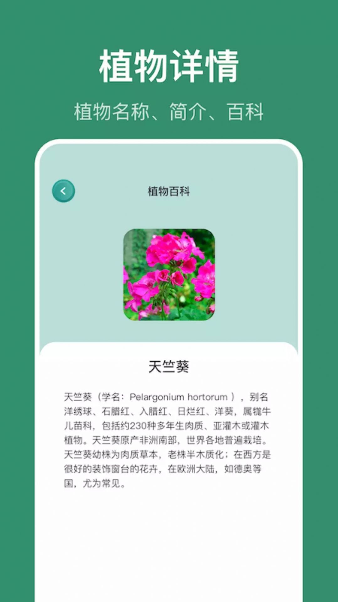 小黃養(yǎng)花植物識別APP版截圖1