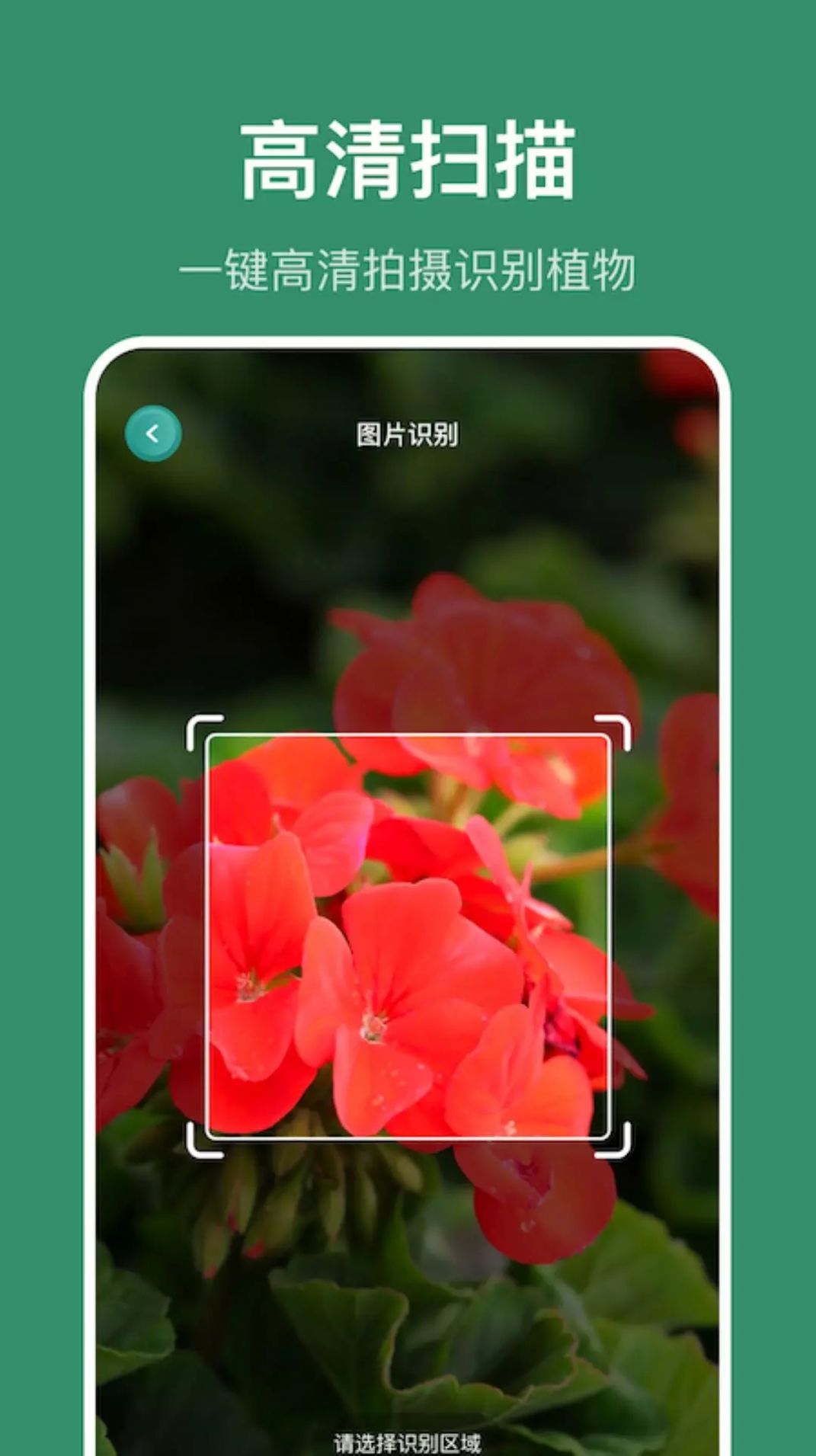 小黃養(yǎng)花植物識別APP版截圖3