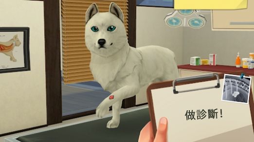 夢幻職業(yè)獸醫(yī)游戲安卓版截圖1