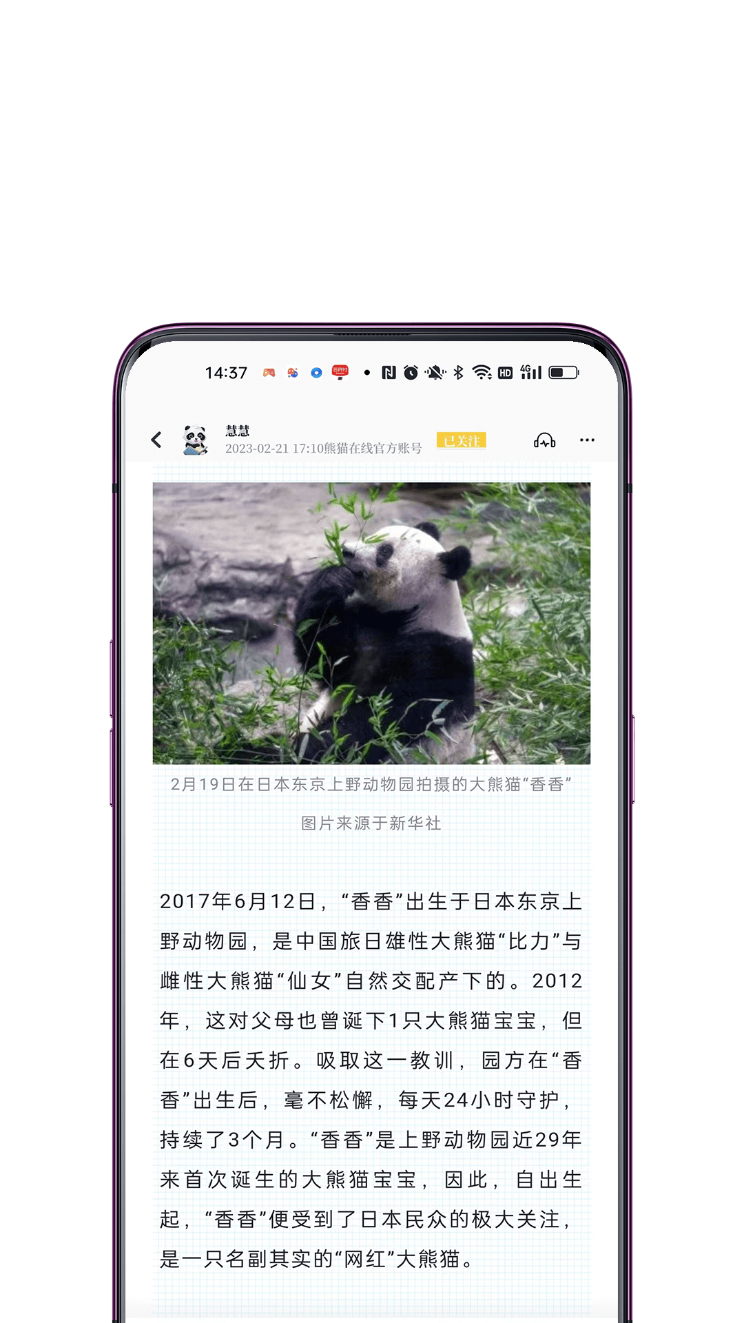 看熊貓電子雜志APP版截圖2