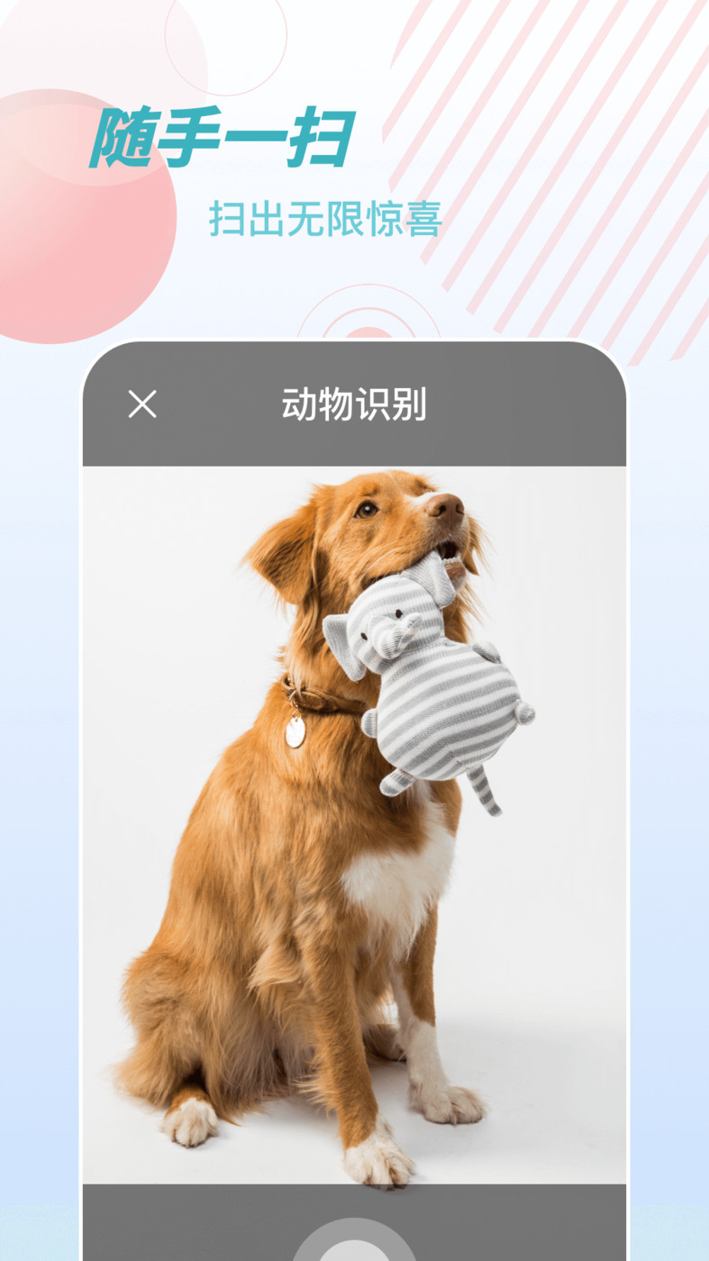 物品識別師APP最新版（拍照識物）截圖1