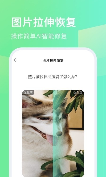 今天拍水印相機app最新版截圖4
