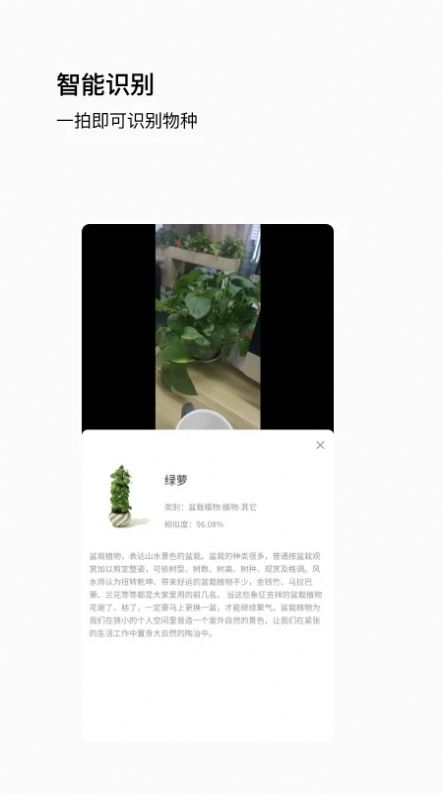 唞蝸掃描識(shí)別APP版截圖2