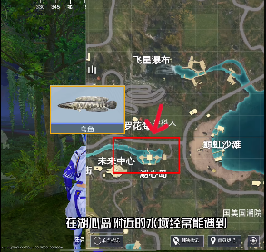 和平精英綠洲世界魚類分布圖