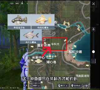 和平精英綠洲世界魚類分布圖