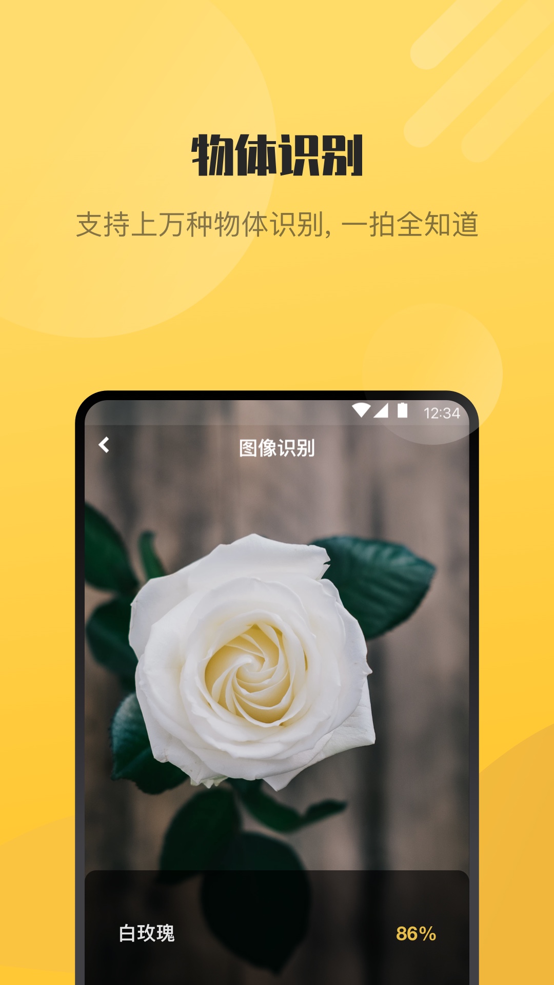 AI愛(ài)識(shí)別APP最新版截圖2