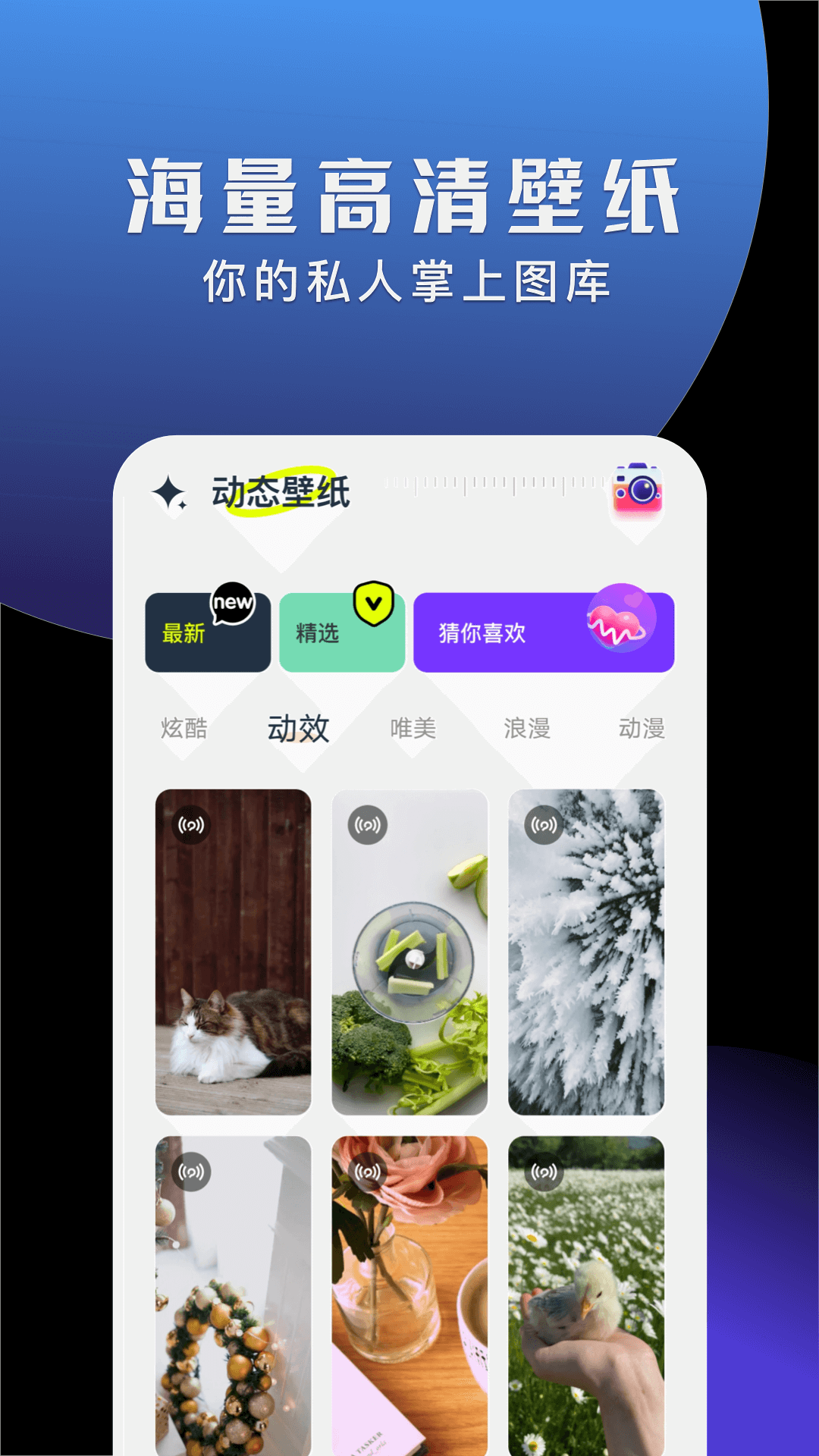 手机动态壁纸大全APP安卓版截图1: