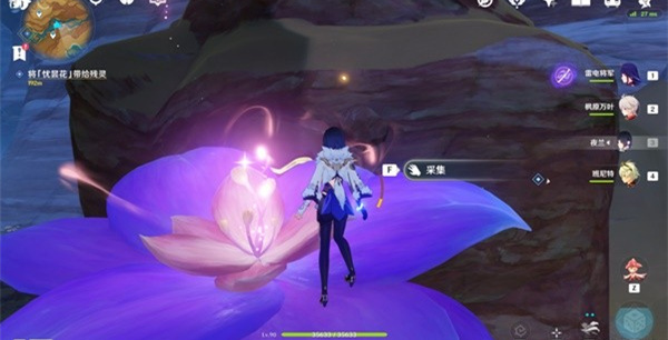 原神憂曇花怎么采