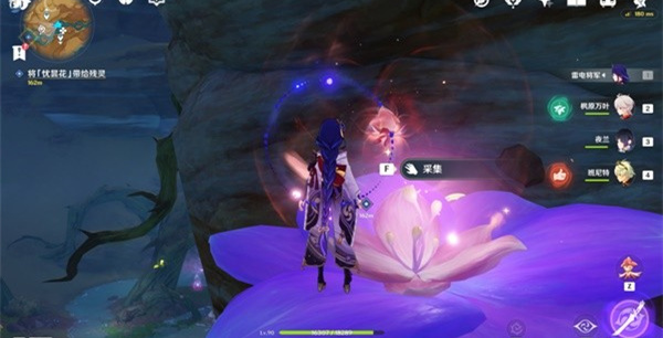 原神憂曇花怎么采