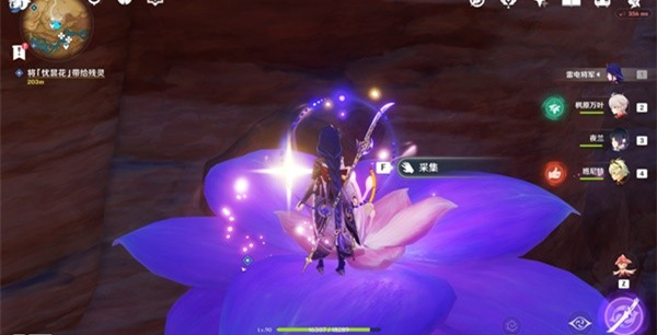 原神憂曇花怎么采