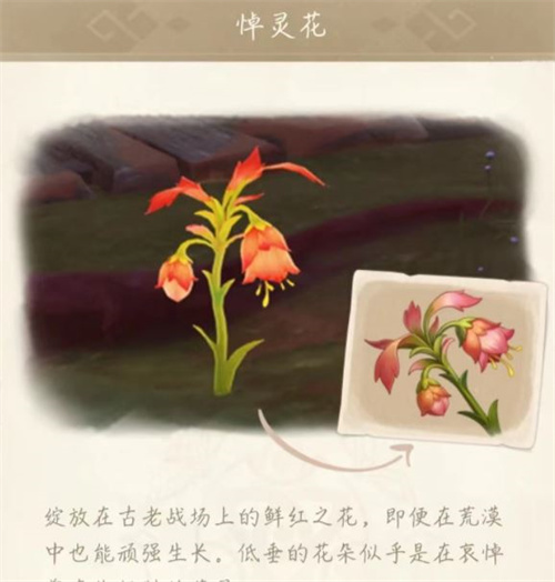 原神悼靈花多久刷新一次 悼靈花刷新時(shí)間介紹