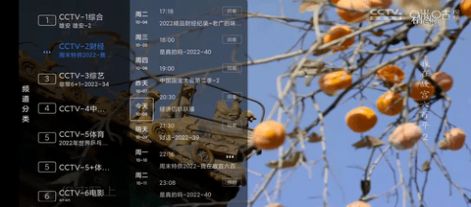 大白電視追劇APP下載截圖2