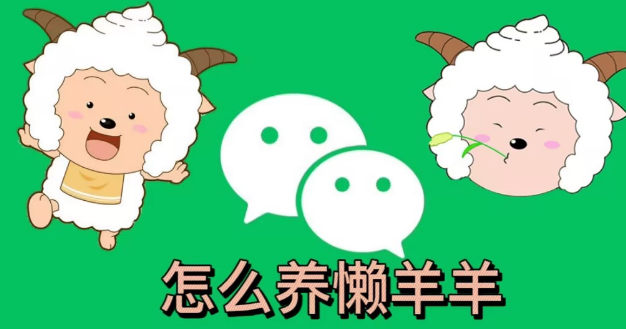 微信狀態(tài)怎么養(yǎng)懶羊羊 懶洋洋微信狀態(tài)設(shè)置教程