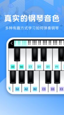 手機(jī)鋼琴模擬器APP最新版截圖4