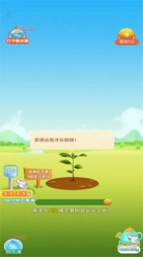 玄乐果园游戏领红包版截图4: