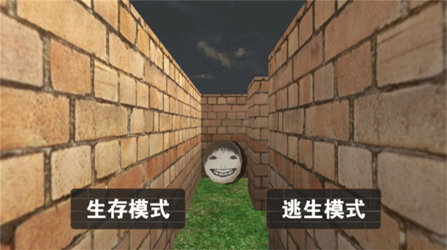 恐怖迷宮冒險(xiǎn)世界游戲手機(jī)版截圖2