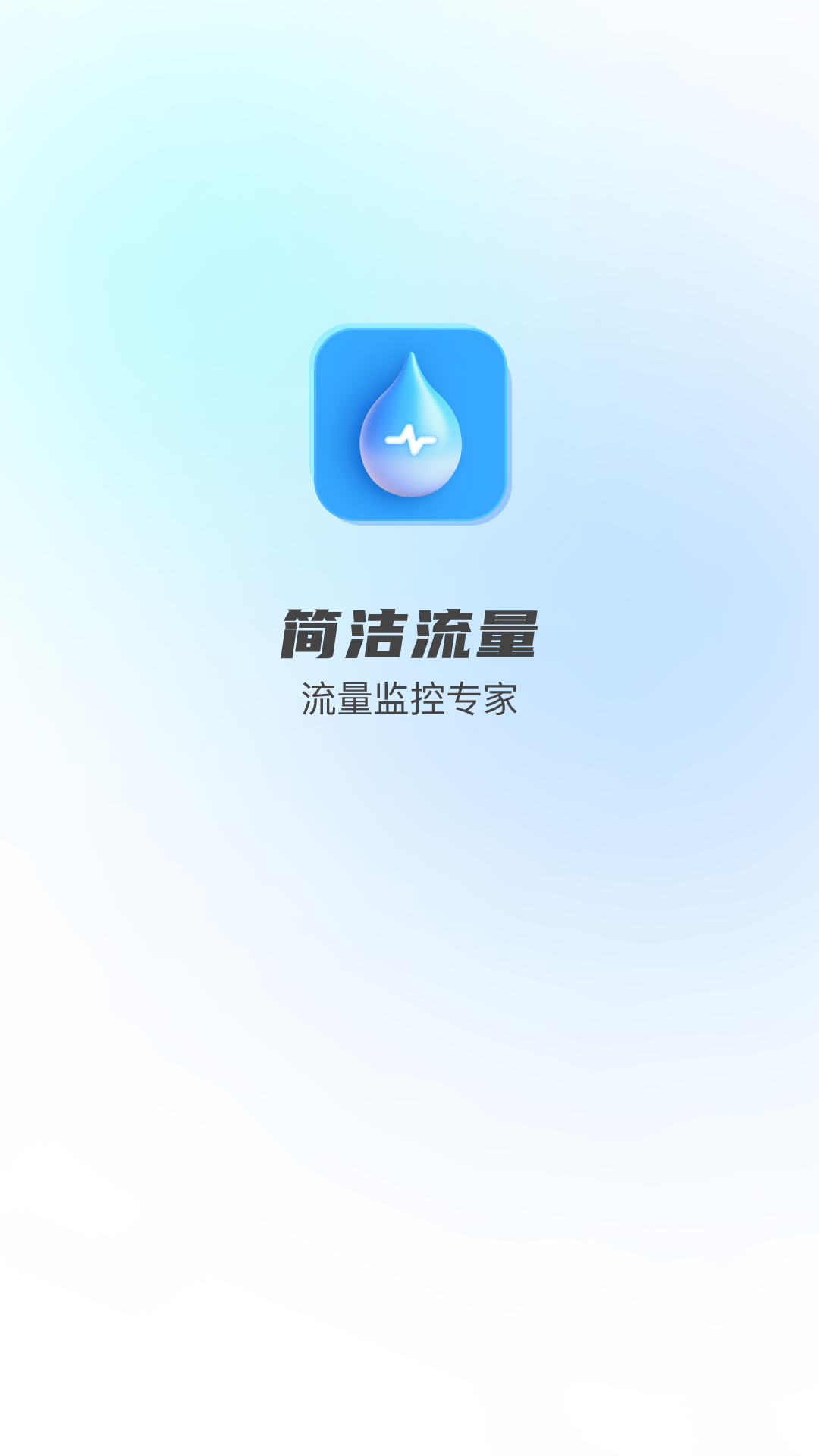 簡(jiǎn)潔流量管理APP版截圖2