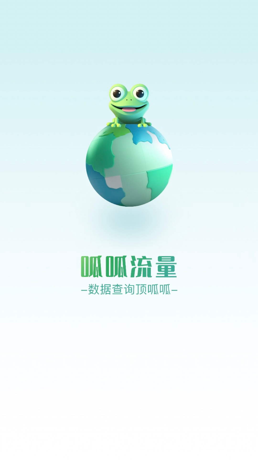 呱呱流量監(jiān)測APP最新版截圖1