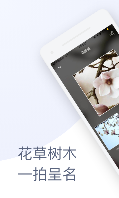 花伴侶植物識別軟件下載版截圖2