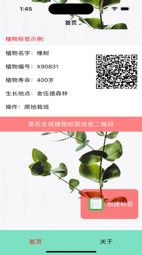 植物標簽生成APP版截圖2