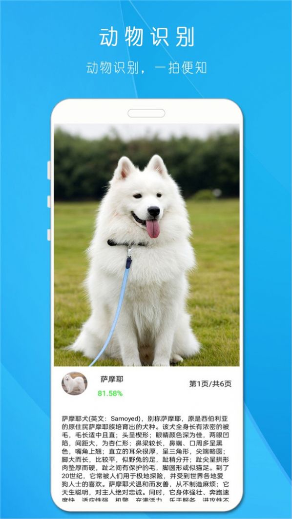 拍照識萬物下載APP最新版截圖1