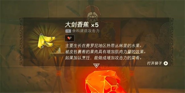塞爾達(dá)傳說王國(guó)之淚情節(jié)挑戰(zhàn)依蓋隊(duì)的干部考試任務(wù)攻略