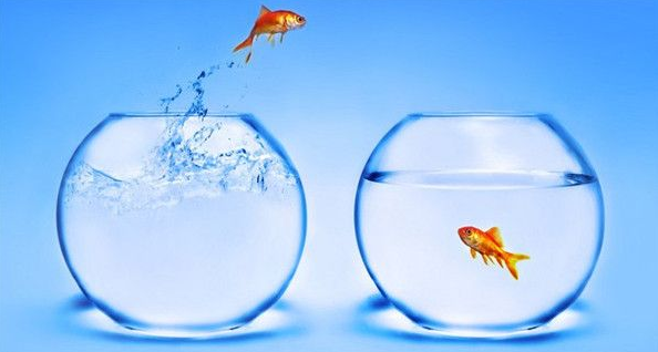 fishbowl測試打不開怎么回事 HTML5fishbowl性能測試網(wǎng)站打不開解決方法