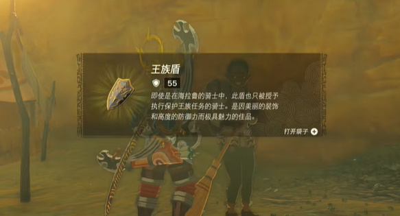 塞爾達(dá)傳說王國之淚王族盾怎么獲得 王族盾獲取攻略