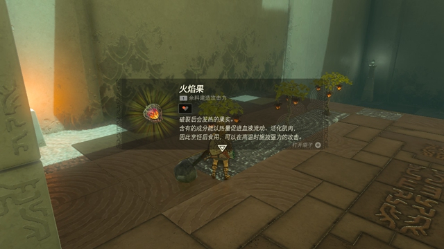 塞爾達(dá)傳說(shuō)王國(guó)之淚攻略大全   王國(guó)之淚全主線流程結(jié)局圖文通關(guān)一覽[多圖]圖片76