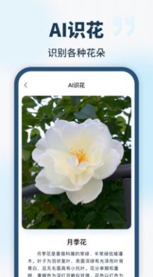 智能識別全能王APP版截圖1