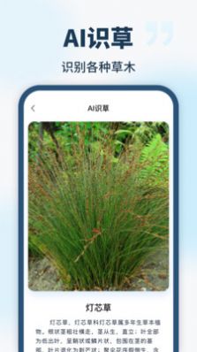 智能識別全能王APP版截圖4