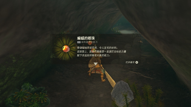 王國之淚攻略大全   塞爾達(dá)王國之淚全劇情速通關(guān)圖文流程一覽[多圖]圖片93