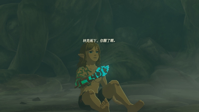 The Legend of Zelda Tears of the kingdom攻略大全  Tears of the kingdom通關(guān)圖文流程一覽[多圖]圖片21