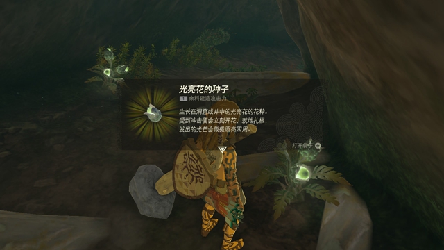 The Legend of Zelda Tears of the kingdom攻略大全  Tears of the kingdom通關(guān)圖文流程一覽[多圖]圖片95