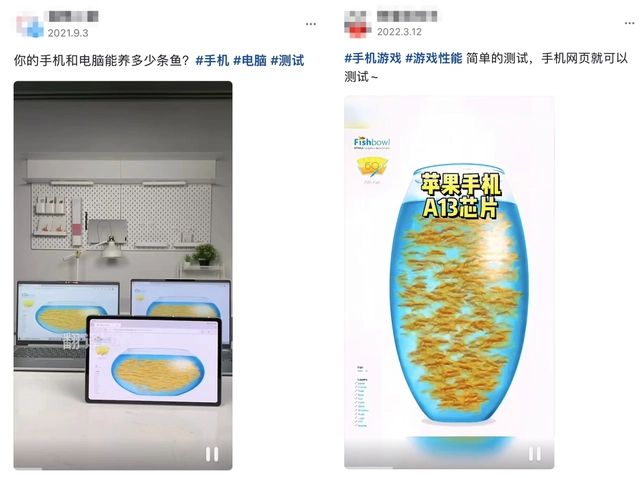 fishbowl手機(jī)測試網(wǎng)址入口 fishbowl魚缸測試網(wǎng)站鏈接
