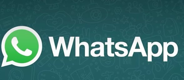 whatsapp一個(gè)勾和兩個(gè)勾的區(qū)別 發(fā)送狀態(tài)單鉤雙鉤含義介紹