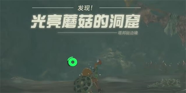 王國之淚照亮洞窟的蘑菇迷你挑戰(zhàn)攻略